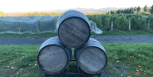 Domaine Les Brome / Léon Courville, winemaker by null