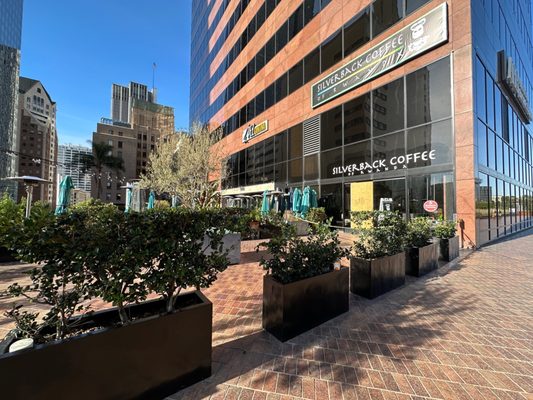 Silverback Coffee of Rwanda by null