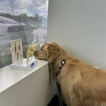 Garden Oaks Veterinary Center - Spacious clinic room! - Veterinarians Near Me - Houston, Texas