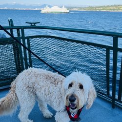 Clinton Ferry Terminal - Baci!!
