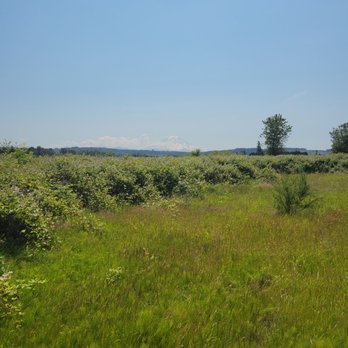 Foothills Trail - Mount Rainier in the distance while on the trail. - Hiking Near Me - Orting, Washington