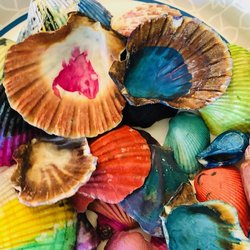 Magic Shells