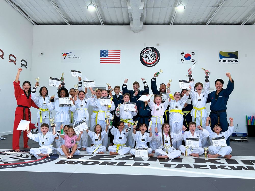 Team Kim’s World Taekwondo Logo