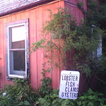 Multi Aquaculture Systems - First sign of food - Seafood Near Me - Amagansett, New York Multi Aquaculture Systems - First sign of food - Seafood Near Me - Amagansett, New York