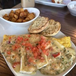 Lobster & Brie Omelette