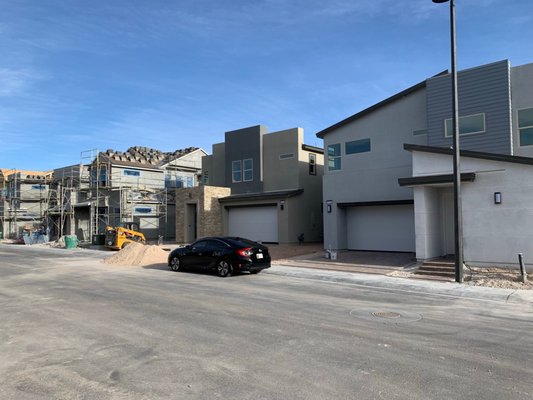 Bee Wise Pest Control