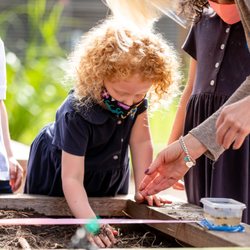 The Fay School - Primary student helping plant vegetables in the Fay Farm