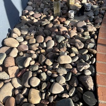 Microcosm Landscaping - Go ahead and try to find a leaf in here. - Landscaping Near Me