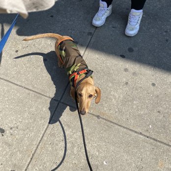 Doggy Style - Pet Stores Near Me - New York, New York Doggy Style - Pet Stores Near Me - New York, New York