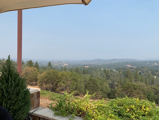 Skinner Vineyards & Winery by null