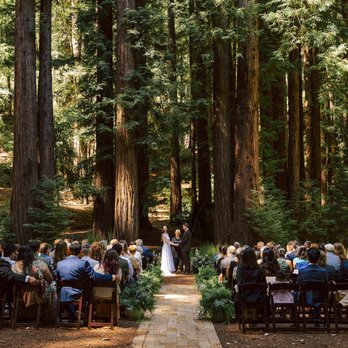 Ellen Scher Wedding Officiant - Officiants Near Me