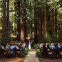 Photo of Ellen Scher Wedding Officiant