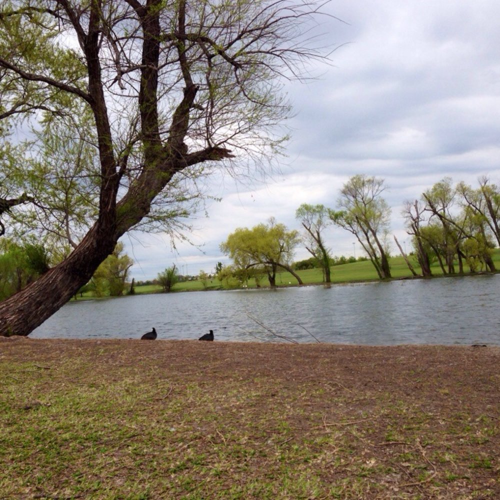 Old Settlers Park - Ducks. - Parks Near Me - Round Rock, Texas Old Settlers Park - Ducks. - Parks Near Me - Round Rock, Texas
