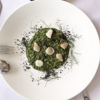 Stokehouse Pasta & Bar by null