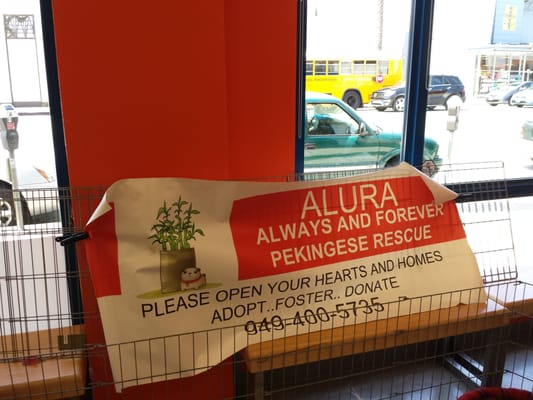 Unleashed by Petco by null