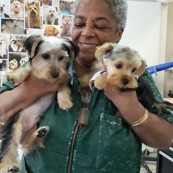 Pink Dog Spa - Max and Chewy after Rosa transformed them into extra cute puppies. - Pet Groomers Near Me - Coconut Creek, Florida Pink Dog Spa - Max and Chewy after Rosa transformed them into extra cute puppies. - Pet Groomers Near Me - Coconut Creek, Florida