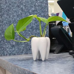 Smilewell Family Dentistry - SmileWell Dental on January 23, 2024