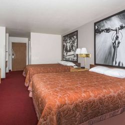 Super 8 by Wyndham Fruita - Guest room