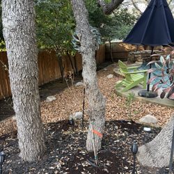 Alvarez Lawn Cares - Gravel area to replace no vegetation