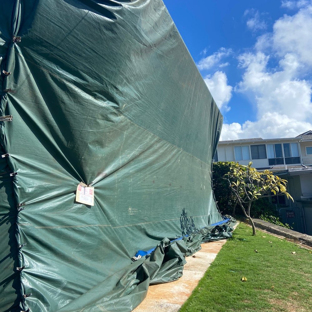 Pest Tech Hawaii - Tenting - Pest Control Near Me - Honolulu, Hawaii Pest Tech Hawaii - Tenting - Pest Control Near Me - Honolulu, Hawaii
