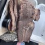 Photo of Jim 'N Nick's Bar-B-Q