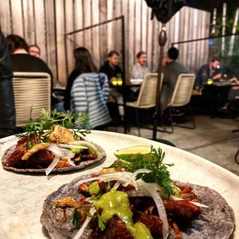 Oxomoco - Pork, carnitas tacos - Mexican Near Me - Brooklyn, New York