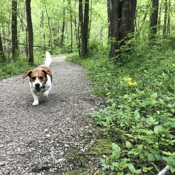 Boyer Nature Preserve - Parks Near Me - Westerville, Ohio