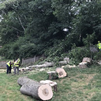 F & F Tree Service - Tree Services Near Me - Beavercreek, Ohio