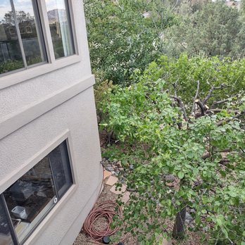 The Kings' Tree Care - Looking down on the Bradford Pear tree from the front deck. - Tree Services Near Me The Kings' Tree Care - Looking down on the Bradford Pear tree from the front deck. - Tree Services Near Me