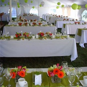 Drumbo Tent - Party Equipment Rentals Near Me - Drumbo, Ontario