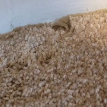 American Carpet South - Carpeting Near Me - Springfield, Massachusetts