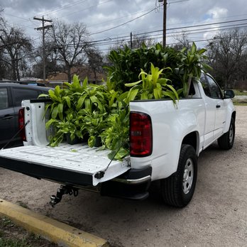 Kaizen Gardens - I can pick up deliver and plant. - Landscaping Near Me Kaizen Gardens - I can pick up deliver and plant. - Landscaping Near Me