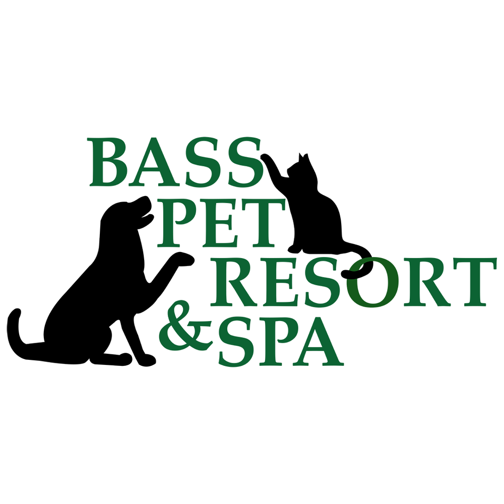 BASS PET RESORT & SPA Updated September 2024 72 Photos & 82 Reviews
