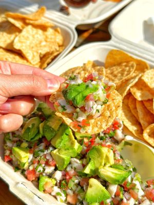 Shark Bite Ceviches by null