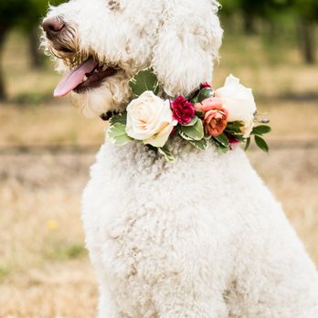 Clarose Florals - Florists Near Me - Morgan Hill, California