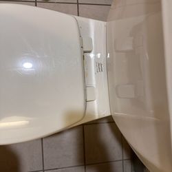 Holiday Inn Express & Suites North Conway - Dry feces and urine