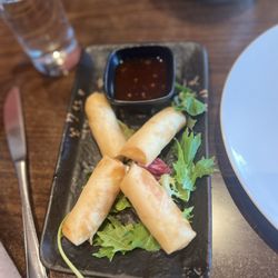 Oriental Restaurant - Veggie Spring Rolls - quite good.