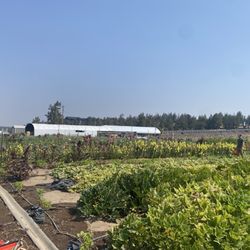 Farm