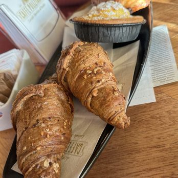 Poliziano - Cafes Near Me - Montepulciano, SI Poliziano - Cafes Near Me - Montepulciano, SI