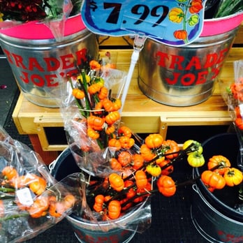 Trader Joe's - they exist! - Grocery Near Me - Pittsburgh, Pennsylvania