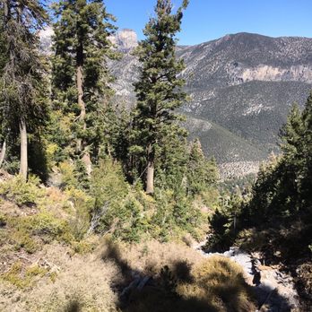 Griffith Peak Trail - Hiking Near Me - Mount Charleston, Nevada
