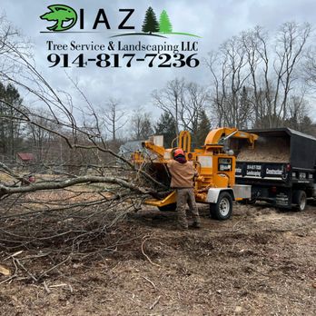 Diaz Tree Service & Landscaping - Tree Services Near Me Diaz Tree Service & Landscaping - Tree Services Near Me