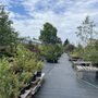 Photo of Willow Tree Gardens and Interiors