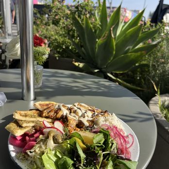 Dune - Hummus & Grilled Chicken Plate - Falafel Near Me - Los Angeles, California Dune - Hummus & Grilled Chicken Plate - Falafel Near Me - Los Angeles, California