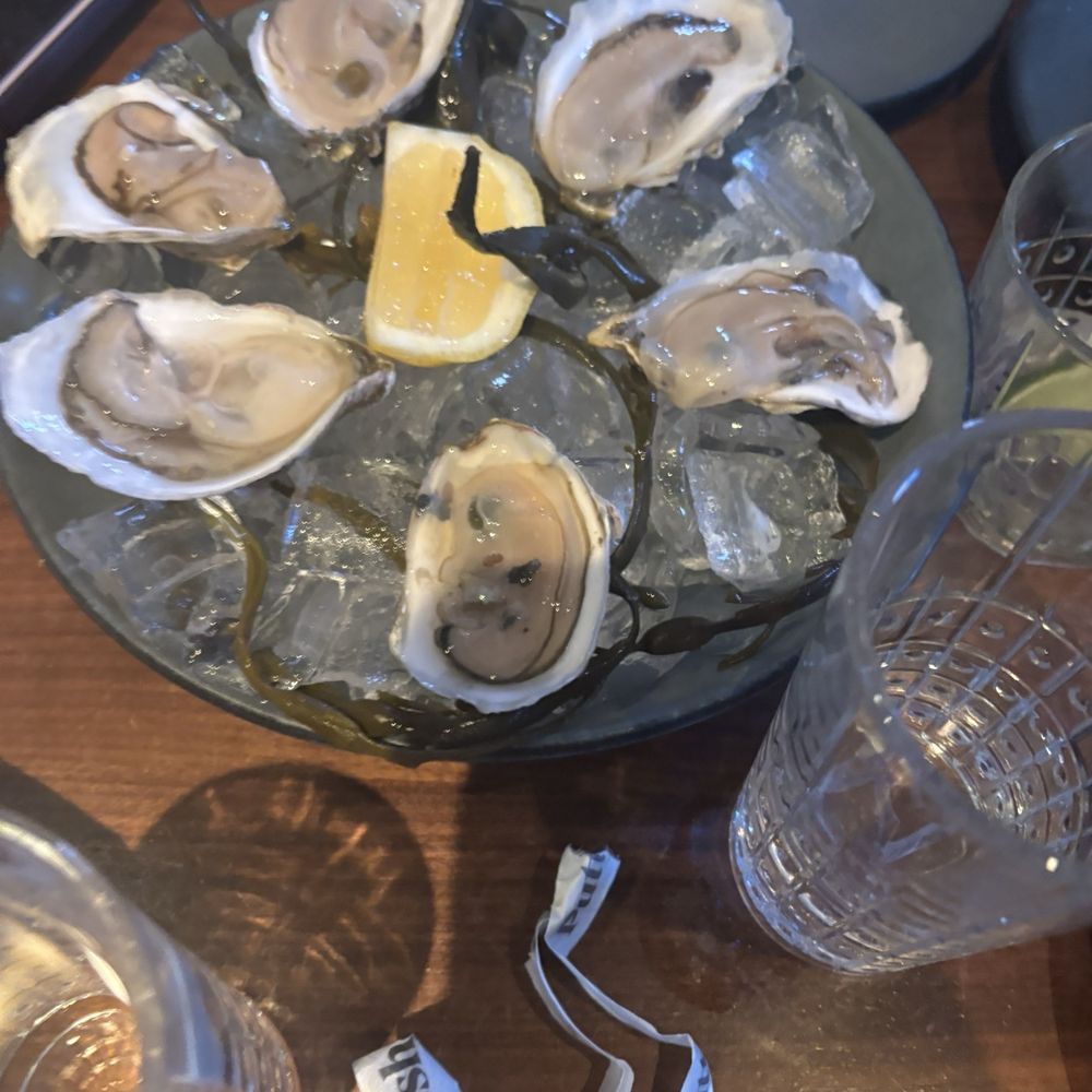 Oysters