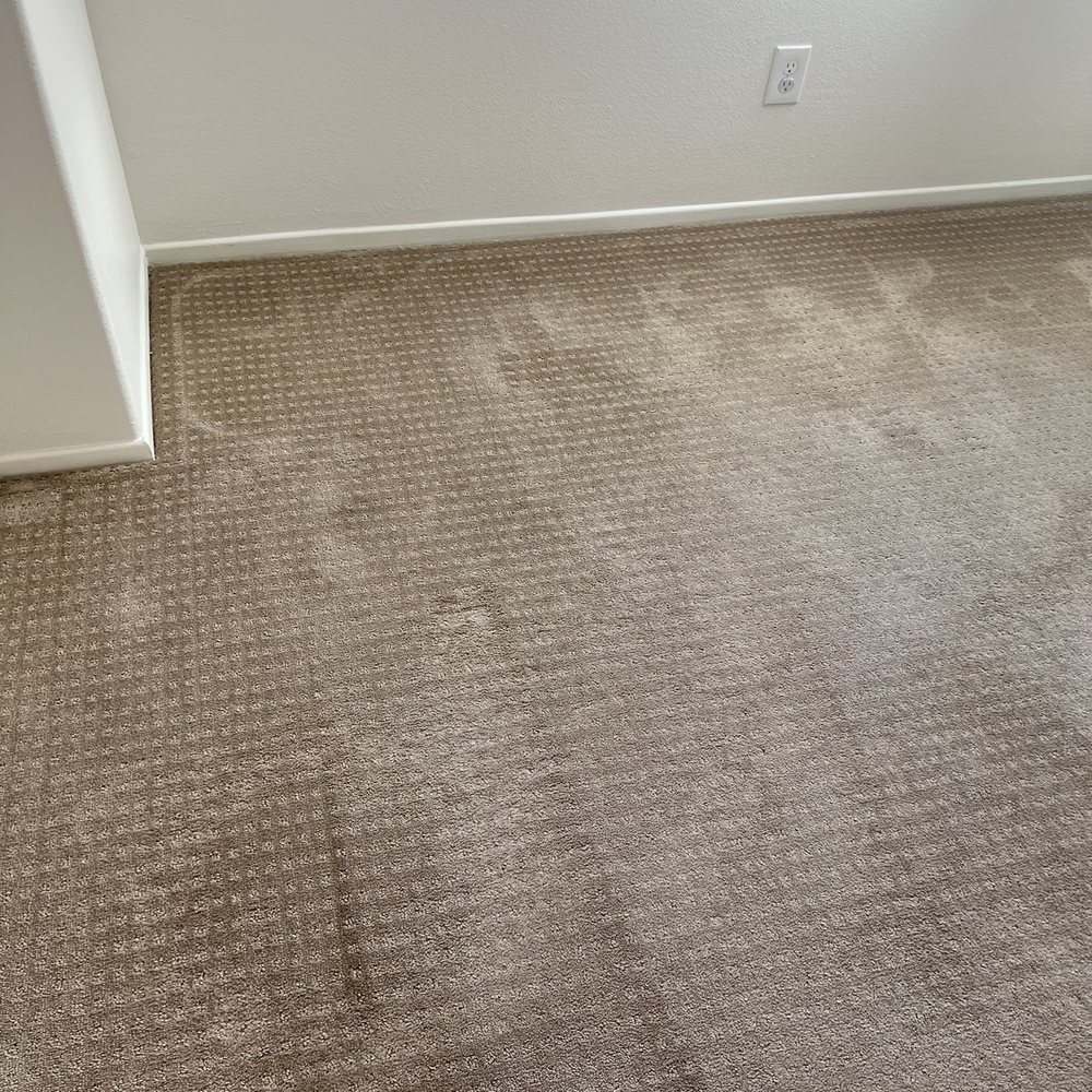 Stanley Steemer - Carpet Cleaning Near Me - Oxnard, California