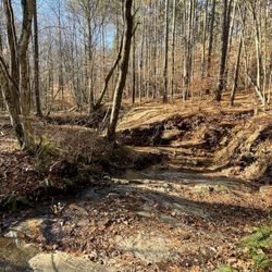 Cascades Preserve