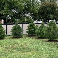 Chronister Tree Farm