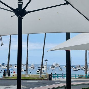 The Naughty Fox - Nice views - New American Near Me - Avalon, California The Naughty Fox - Nice views - New American Near Me - Avalon, California