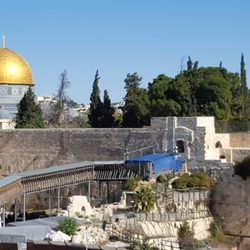 Lois Caldeira Cruise Planners - Wailing Wall